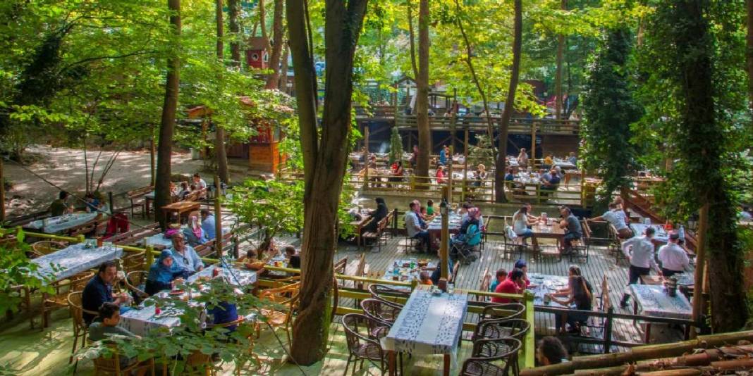 Şehir hayatına kısa bir mola vermeye hazır mısınız? Şelaleler, yaylalar ve doğanın kalbi sizi çağırıyor! 3